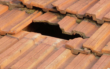 roof repair Hollee, Dumfries And Galloway